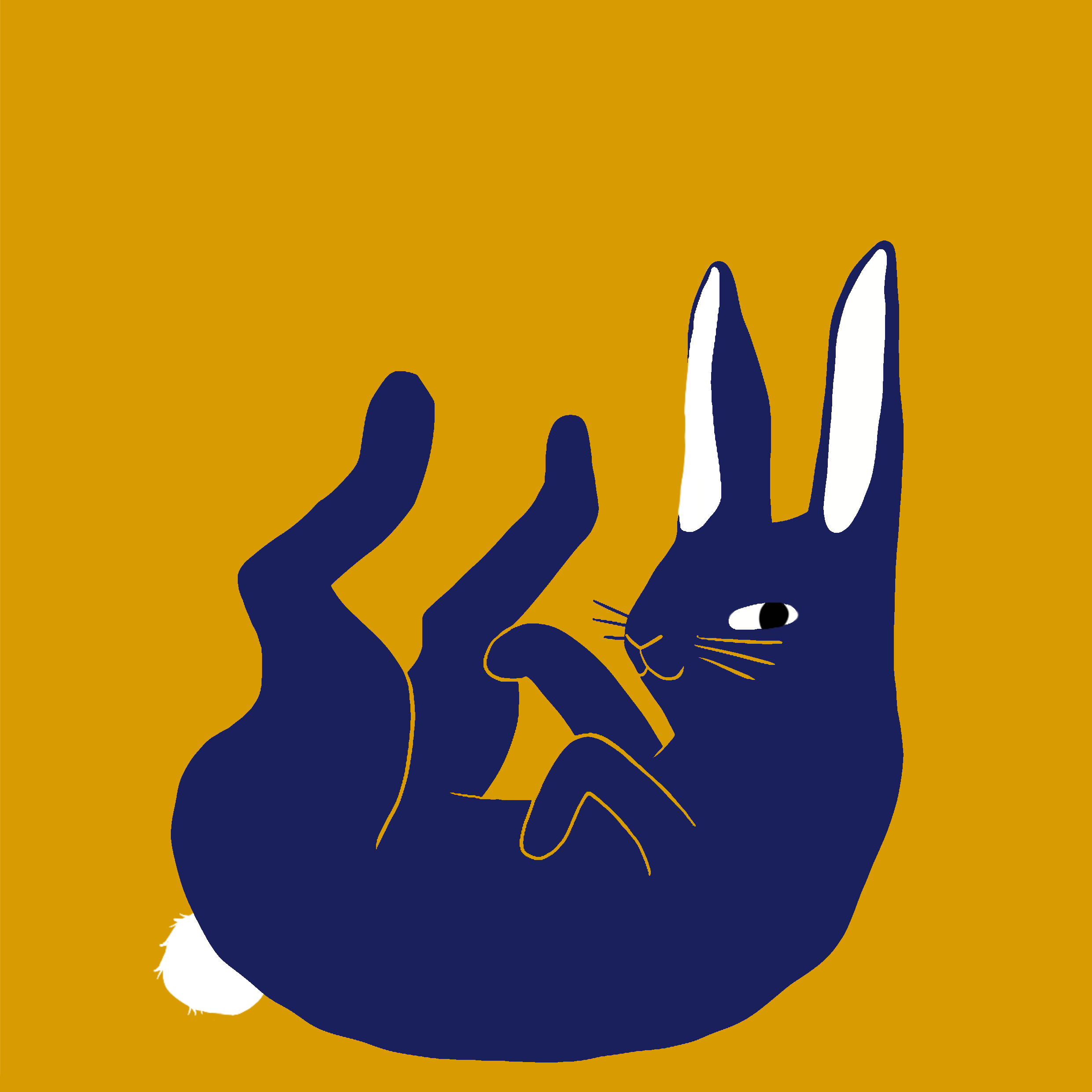 Image of a rabbit